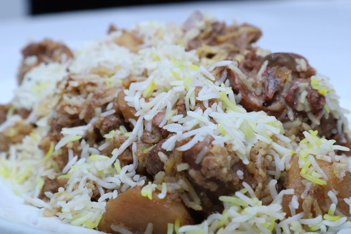 Biryani close-up